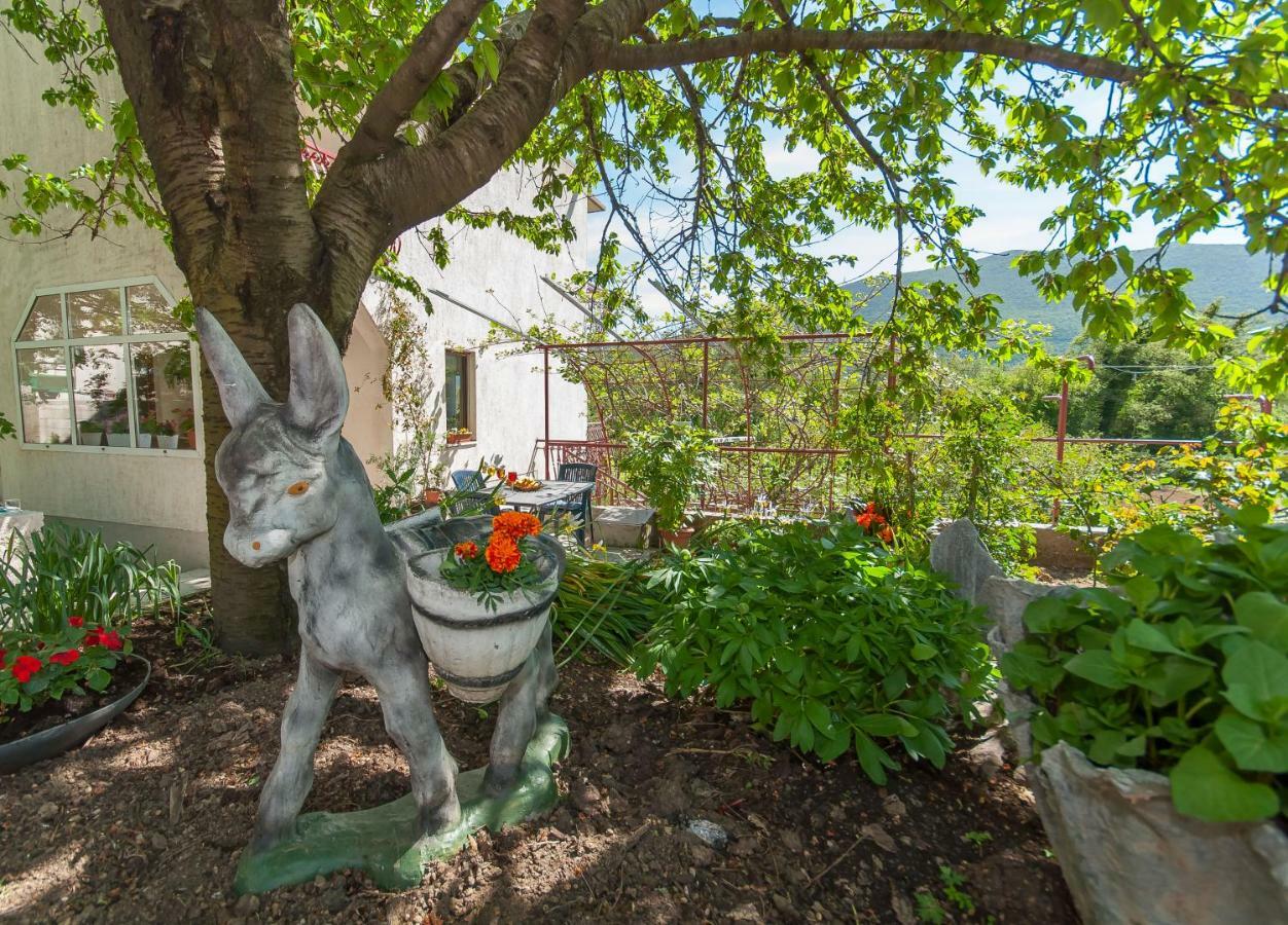Apartament Green Valley Omiš Zewnętrze zdjęcie